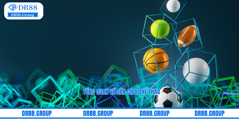 Tổng quan về sân chơi thể thao DR88