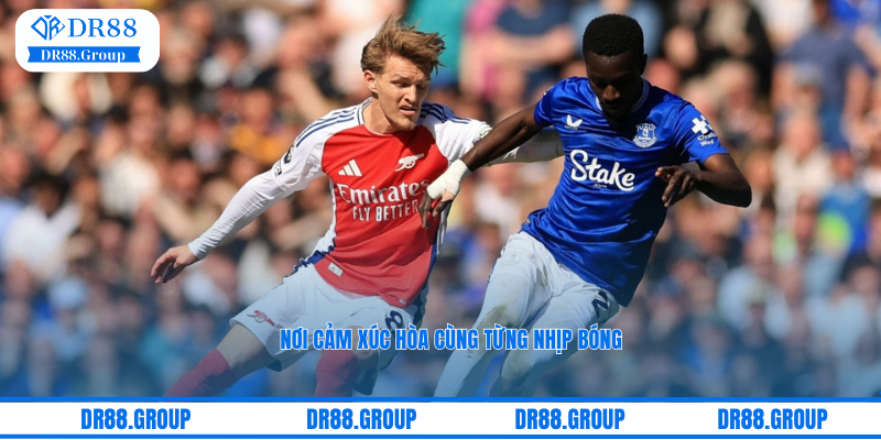 Nơi cảm xúc hòa cùng từng nhịp bóng tại sảnh cá cược BTI cúa DR88