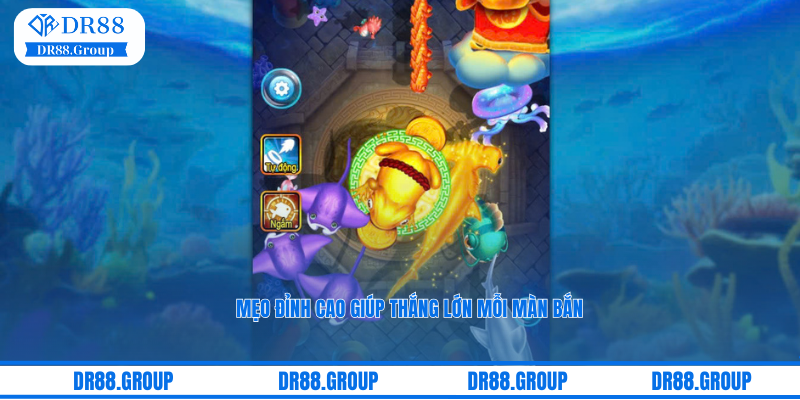 Mẹo đỉnh cao giúp thắng lớn mỗi màn bắn tại Oneshot Fishing